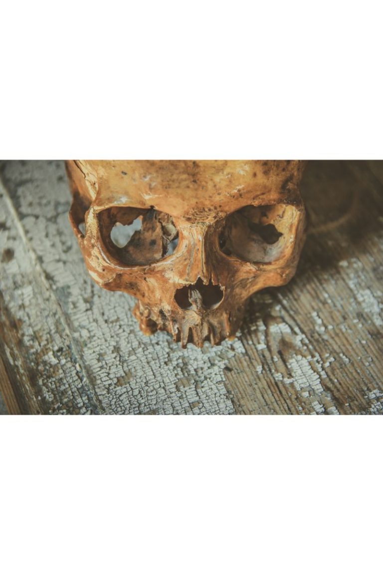 ARQUEOLOGÍA VS ANTROPOLOGÍA